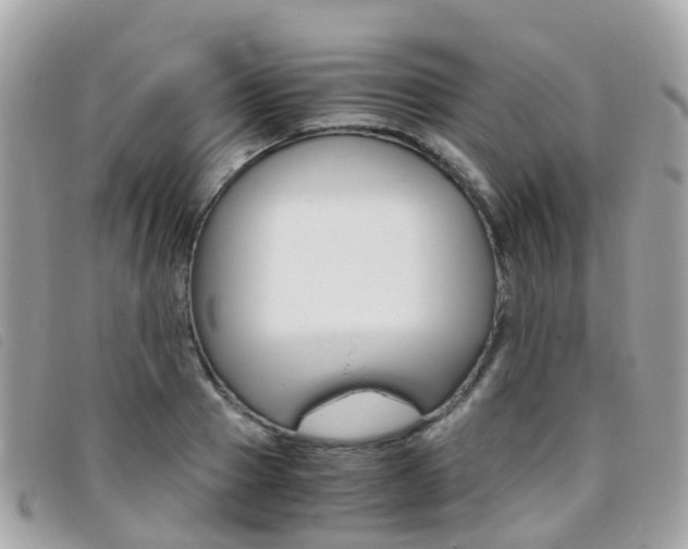 X0000095910937200801110824