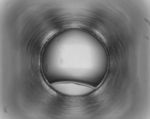 X0000095910938200801110824