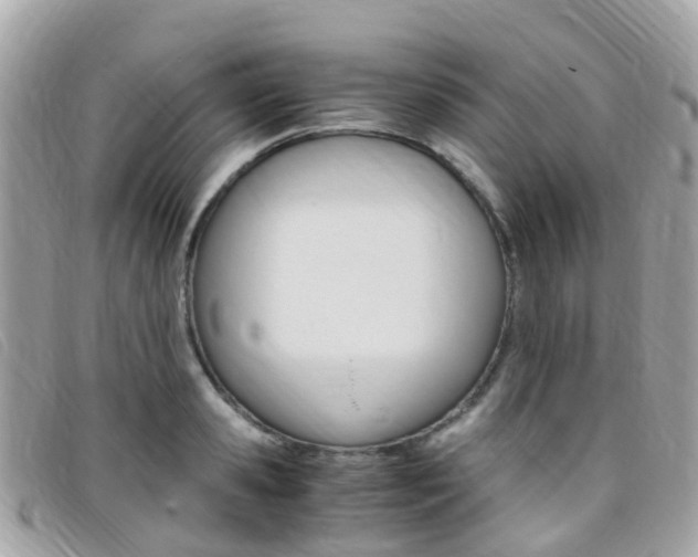 X0000095910941200801110824