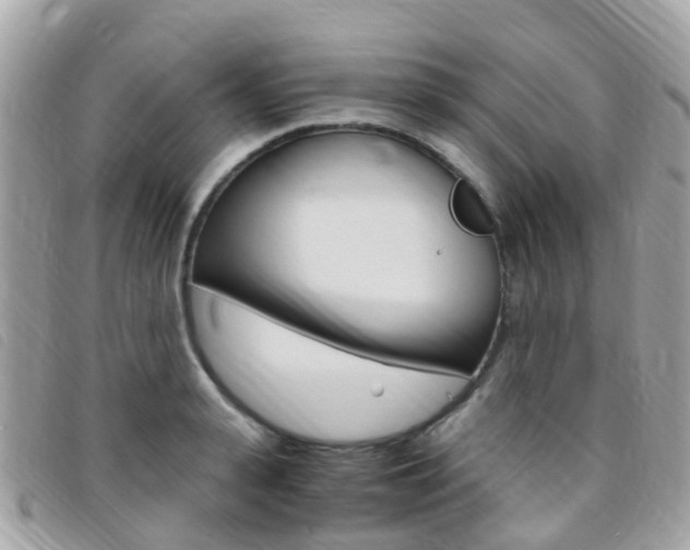 X0000095910943200801110824