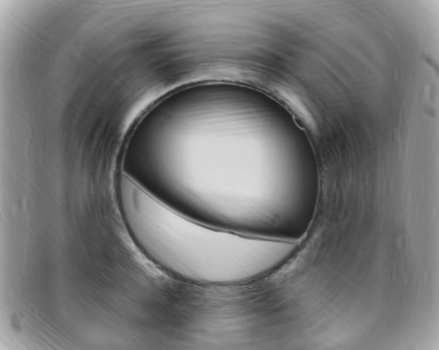 X0000095910944200801110824