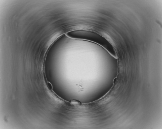 X0000095910946200801110824
