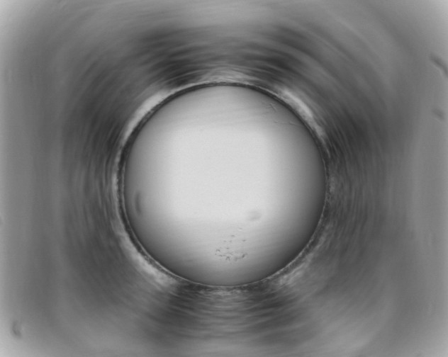 X0000095910947200801110824