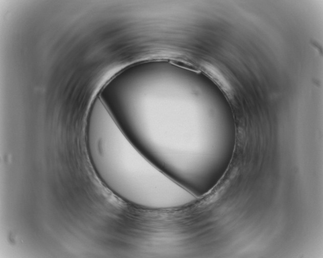X0000095910948200801110824