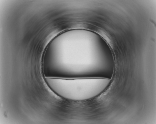 X0000095910949200801110824