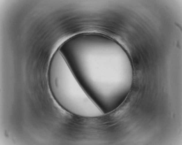 X0000095910951200801110824
