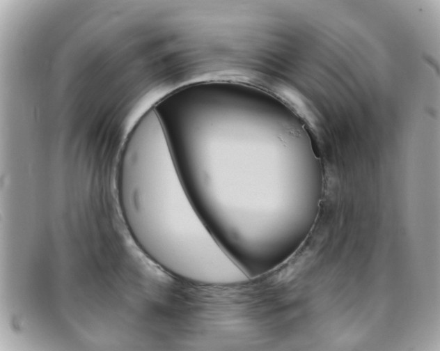 X0000095910952200801110824