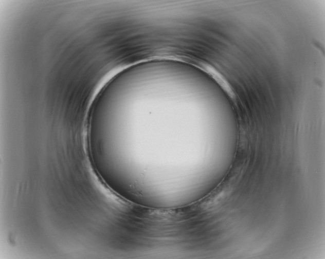 X0000095910955200801110824