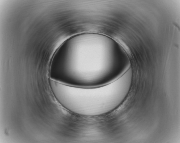 X0000095910956200801110824