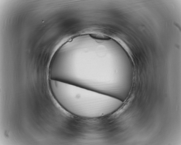 X0000095910957200801110824