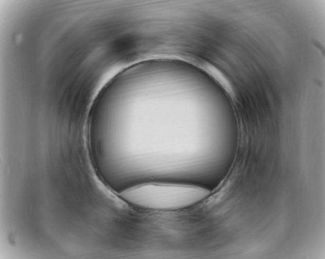 X0000095910958200801110824