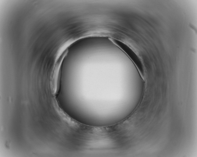 X0000095910960200801110824