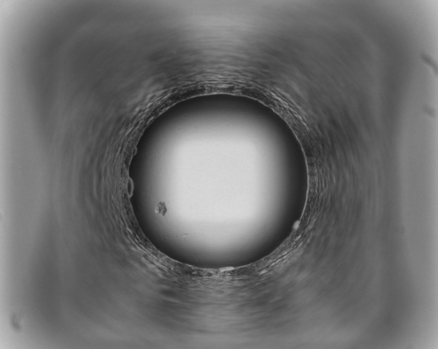 X0000095910961200801110824