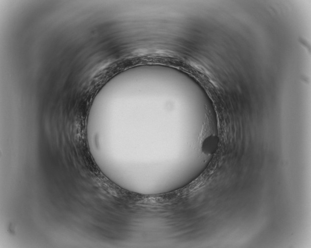 X0000095910966200801110823
