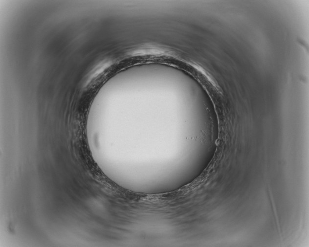 X0000095910967200801110823
