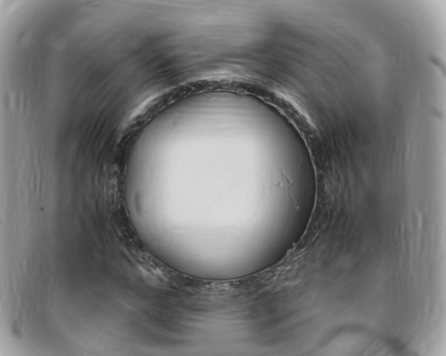 X0000095910968200801110823
