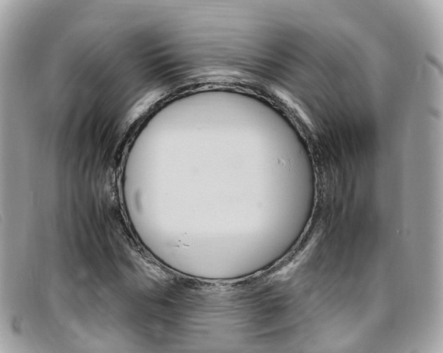 X0000095910970200801110823