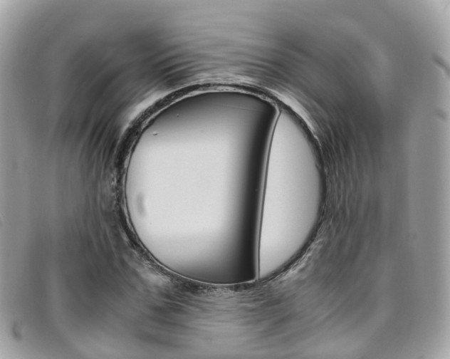 X0000095910971200801110823