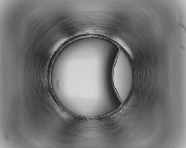 X0000095910972200801110823