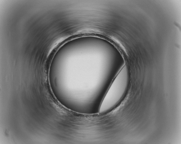 X0000095910973200801110823