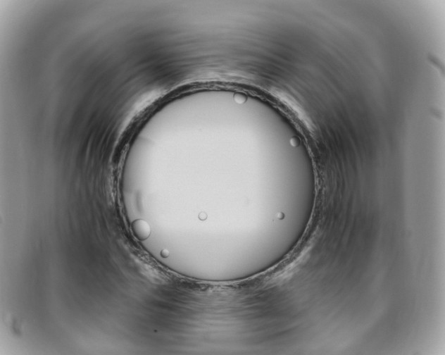 X0000095910974200801110823