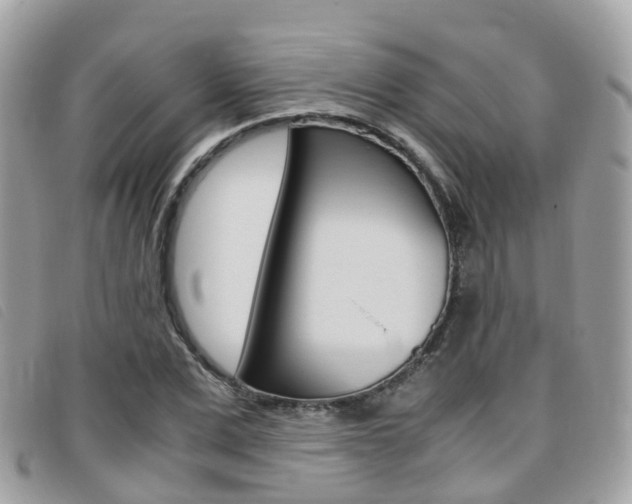 X0000095910975200801110823