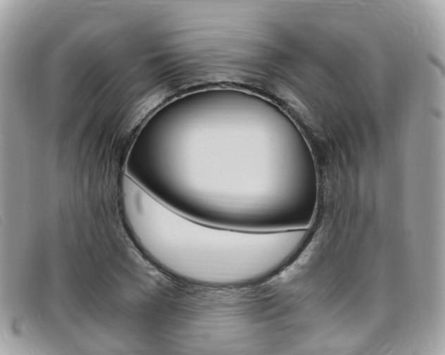 X0000095910977200801110823