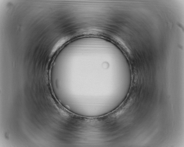 X0000095910978200801110823