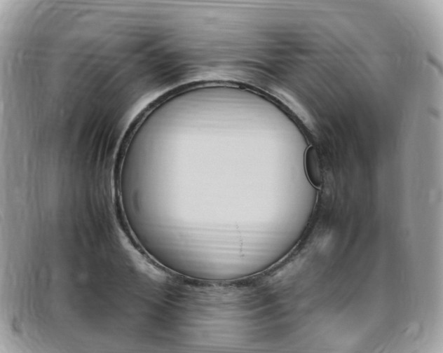 X0000095910980200801110823