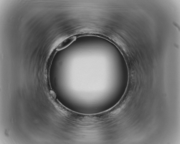 X0000095910981200801110823