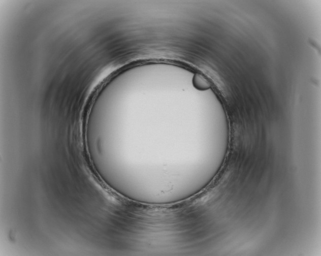 X0000095910982200801110823