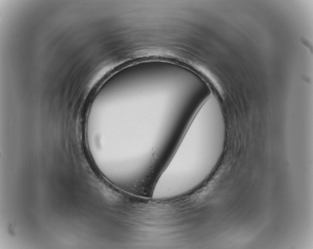 X0000095910983200801110823