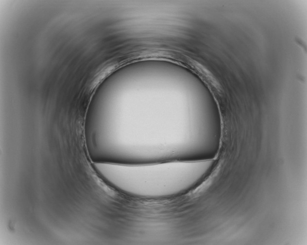 X0000095910985200801110823