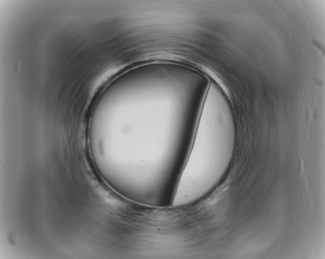X0000095910987200801110823