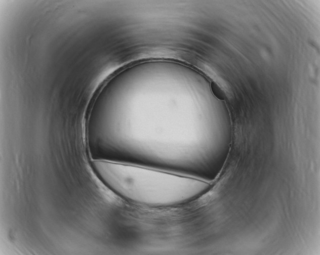 X0000095910988200801110823