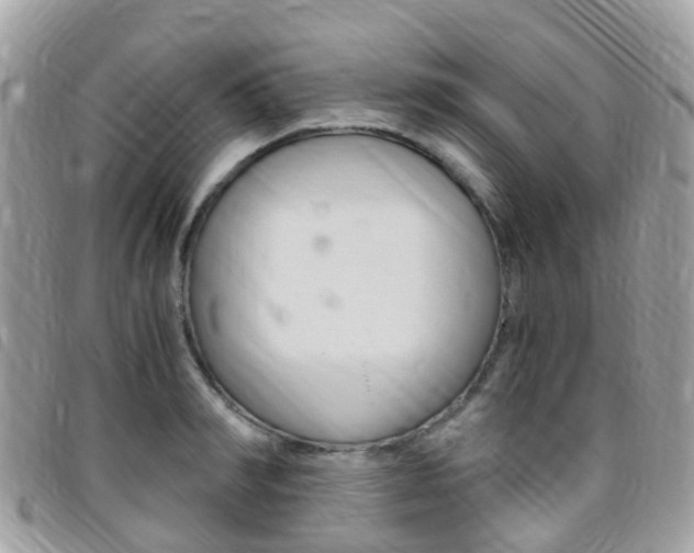 X0000095910990200801110823