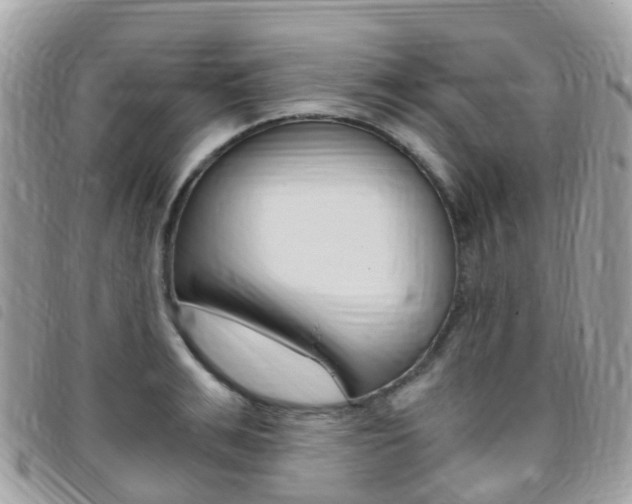 X0000095910991200801110823