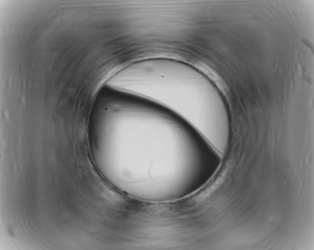 X0000095910993200801110823