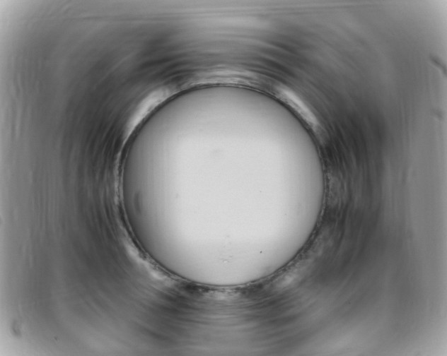 X0000095910994200801110823