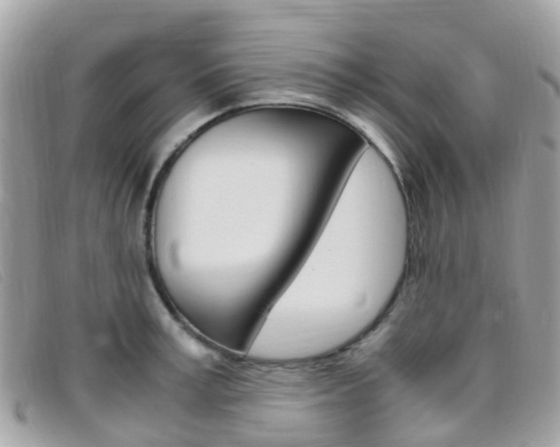 X0000095910995200801110823