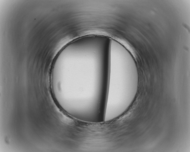 X0000095910999200801110823