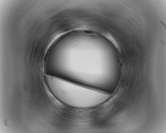 X0000095911000200801110823