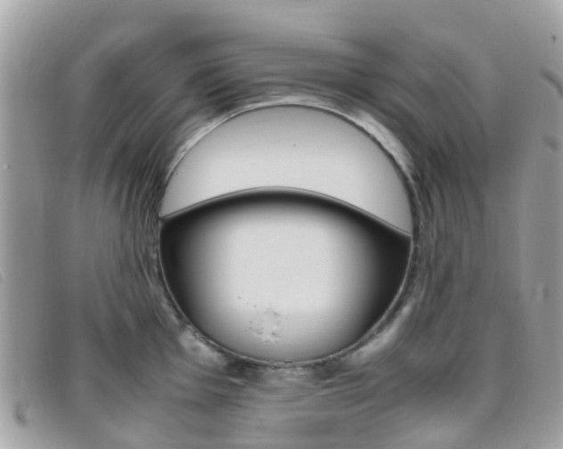X0000095911001200801110823
