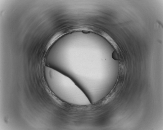 X0000095911002200801110823