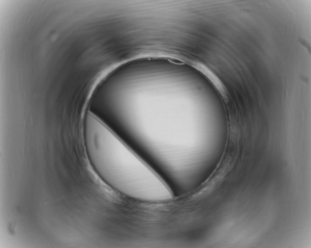 X0000095911004200801110823