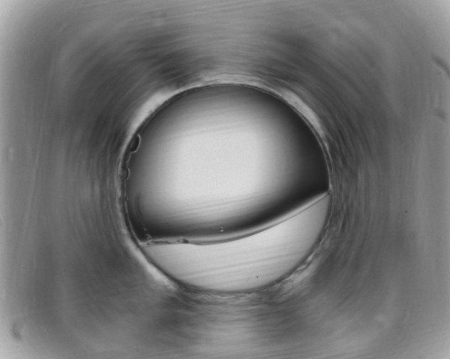 X0000095911005200801110823
