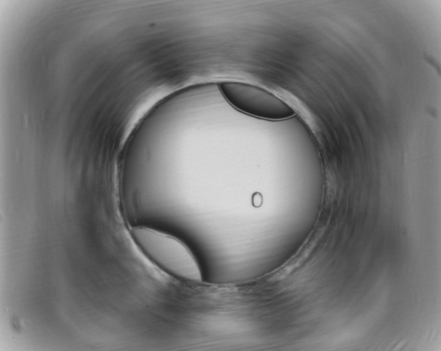 X0000095911006200801110823