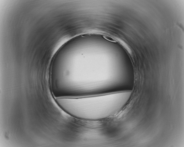 X0000095911007200801110823