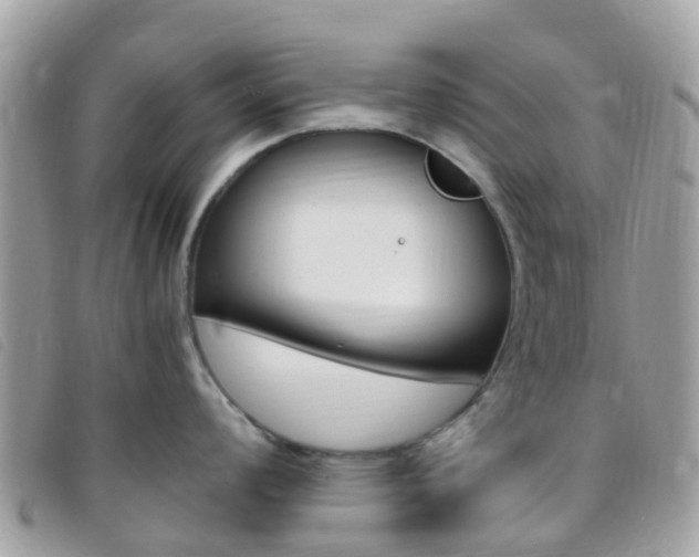 X0000095911008200801110823