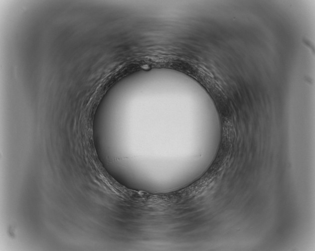 X0000095911009200801110822